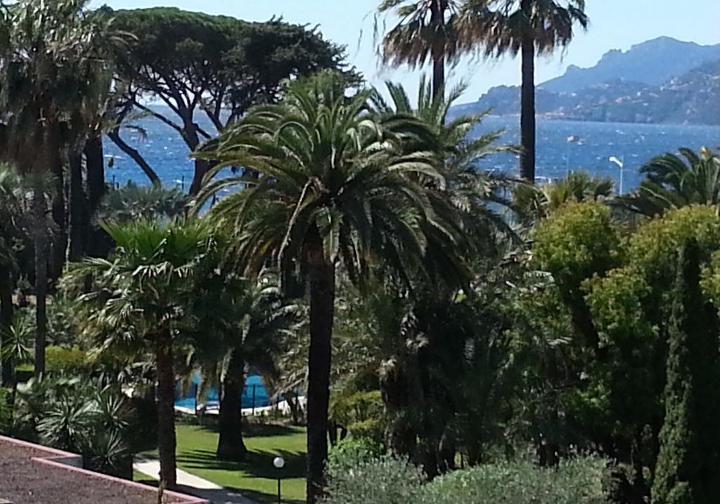 Sea Side Apartment Cannes Ngoại thất bức ảnh